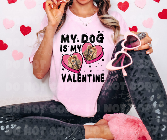 3107 My Dog is my Valentine Cocker spaniel *DREAM TRANSFER* DTF