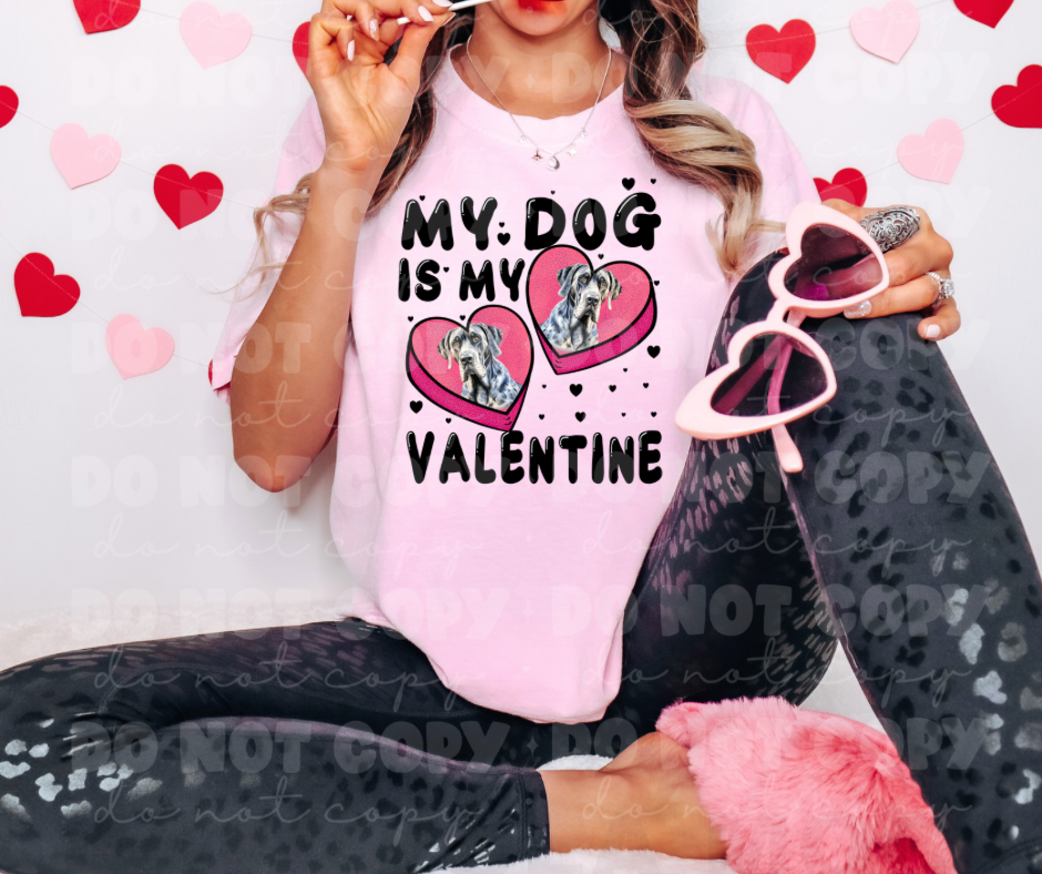 3109 My Dog is my Valentine Great Dane   *DREAM TRANSFER* DTF