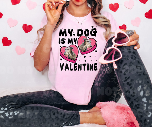 3097 My Dog is my Valentine Deerhound *DREAM TRANSFER* DTF