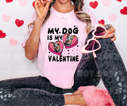 3122 My Dog is my Valentine cattle dog *DREAM TRANSFER* DTF