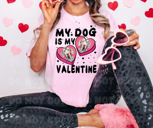 3127 My dog is my valentine Weimaraner  *DREAM TRANSFER* DTF