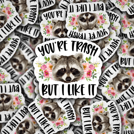 You're trash but I like it raccoon Die cut sticker 3-5 Business Day TAT